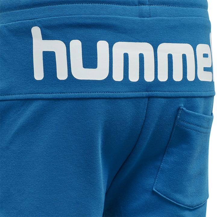 Image du produit hummel Flicker Shorts (110)