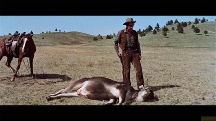 Actual product image Plaion The last hunt (DVD, 1956, German, English)