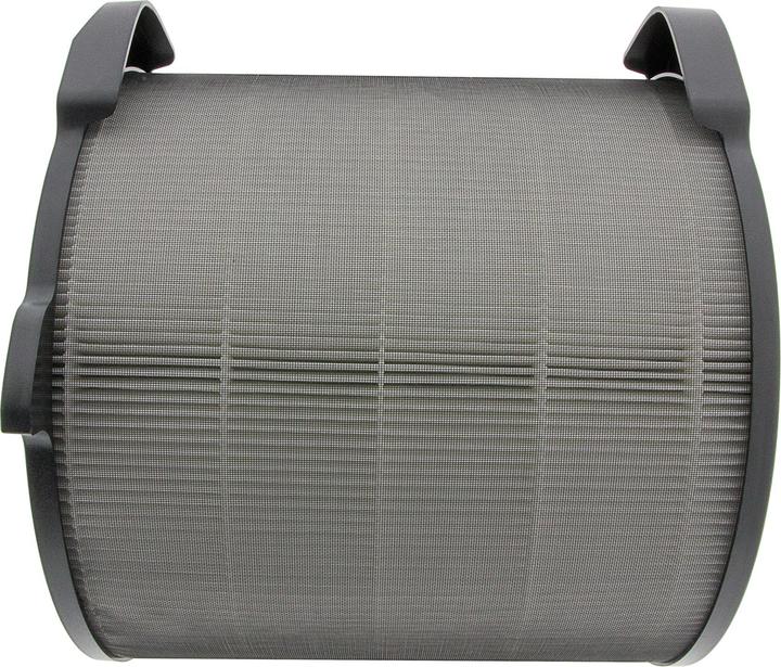 Produktbild Flickbee Filter zu Electrolux Pure A9- ersetzt EFDBRZ4 (1 x)