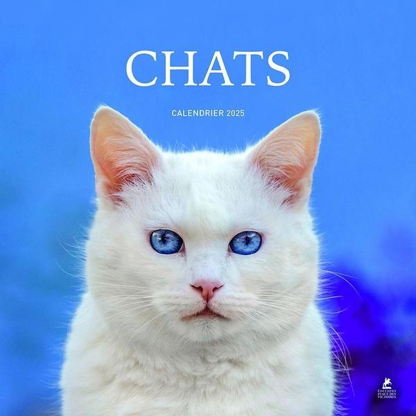 Image du produit Chats : calendrier 2025 (Couverture rigide, Français)