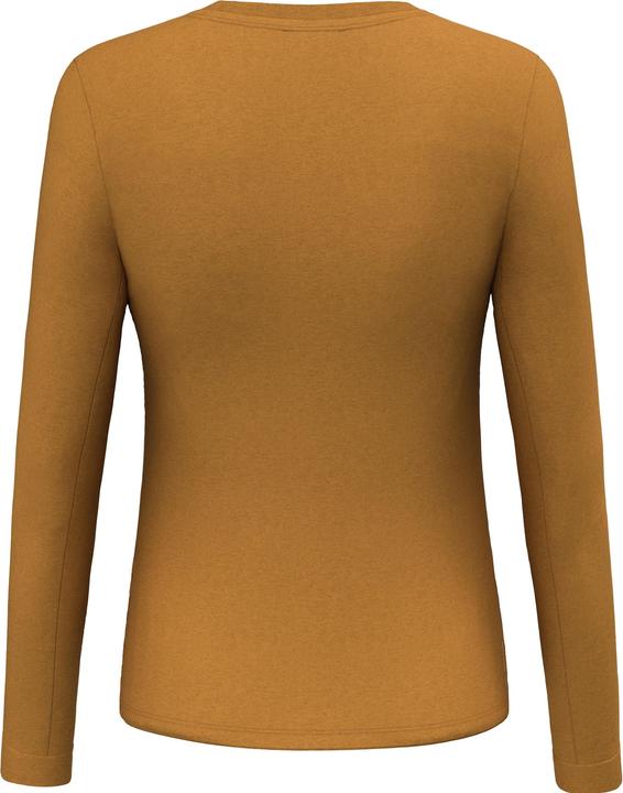 Actual product image Salewa Solidlogo Dry'Ton Longsleeve (42, 48)