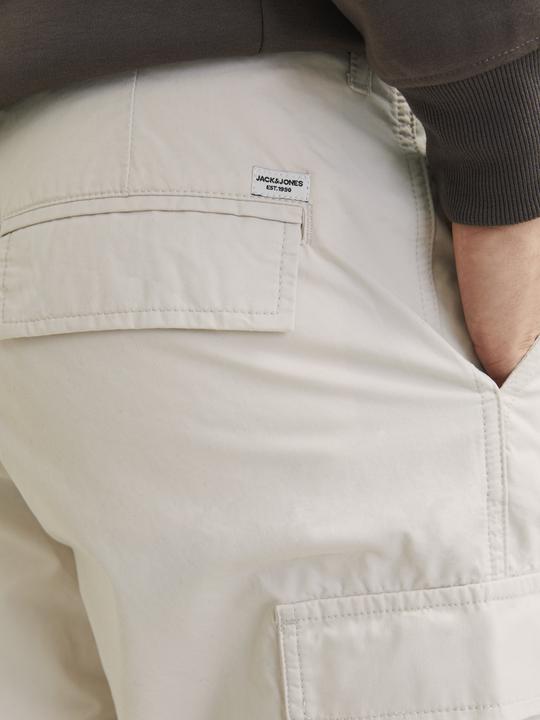Image du produit Jack & Jones Jpstbill Jjknockout Cargo Ln (W34/L32)