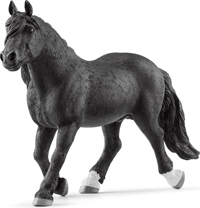 Produktbild Schleich Noriker Hengst