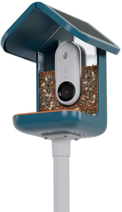 Actual product image Bird Buddy Food dispenser