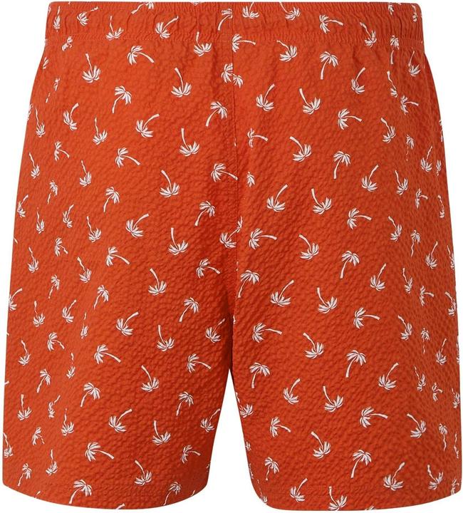 Actual product image Regatta Mens Loras Palm Swim Shorts (S)
