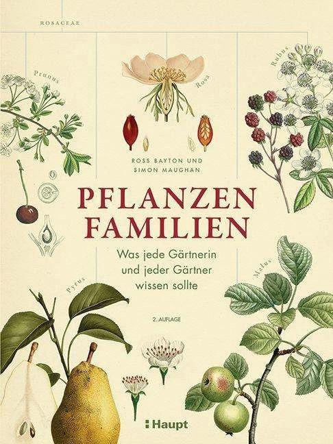 Pflanzenfamilien (Deutsch, Ross Bayton, Wiebke Krabbe, Simon Maughan, 2023)