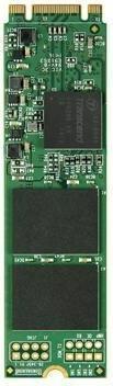 Actual product image Transcend Mts800s (256 GB, M.2 2280)