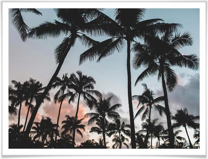 Produktbild Trenddeko Sunset and Palms (60 x 50 cm)