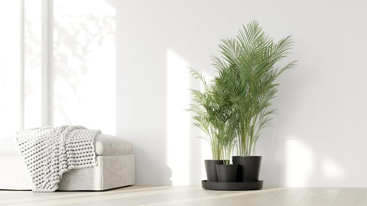 Actual product image Ecopots Dubai (30 cm)