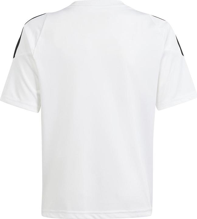 Immagine prodotto adidas TIRO24 JSY Y (164)