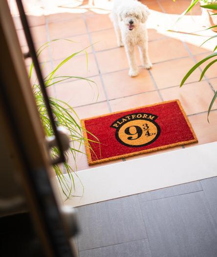 Actual product image Pyramide Doormat: Harry Potter Platform 9 3/4 (40x60cm) (40 x 60 cm)