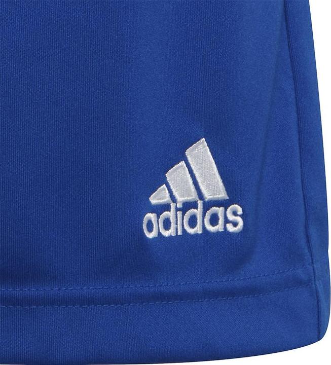 Actual product image adidas Entrada 22 Shorts (152)