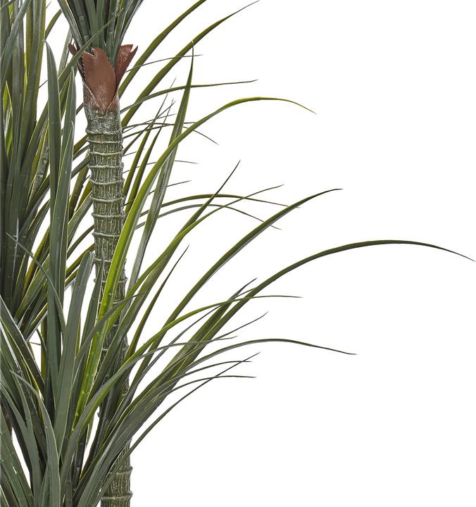 Actual product image Beliani Dracaena Anita (198 cm)
