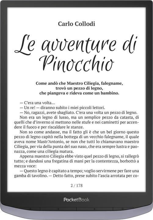 Image du produit PocketBook InkPad X (10.30", 32 Go, Gris métallique)