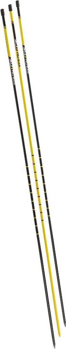 SKLZ Pro Rods