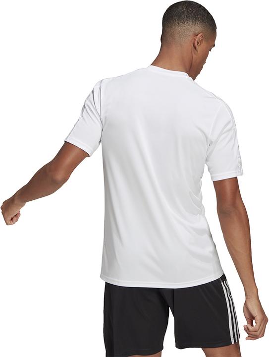 Produktbild adidas Squadra 21 Trikot Kurzarm (S)