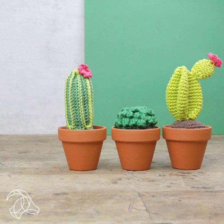 Image du produit Hardicraft Cactus - Kit de crochet