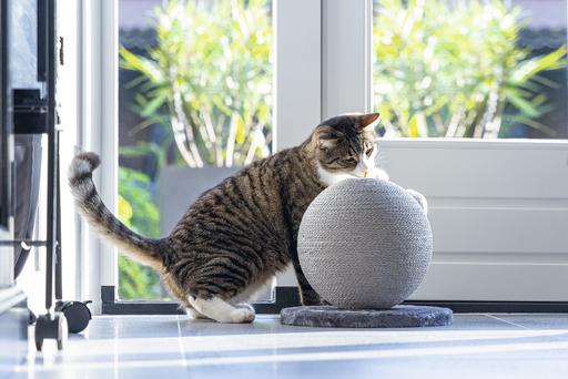 Produktbild Karlie Kratzball Bolly (28 cm, Grau)