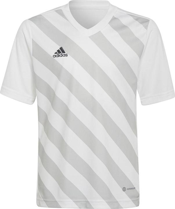adidas Entrada 22 Graphic Fussballtrikot Kinder (128)