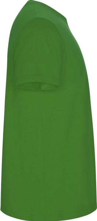 Image du produit Alpinia - T-shirt STAFFORD - Homme (L)