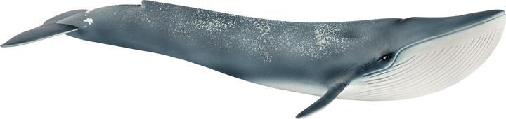 Schleich Blue whale