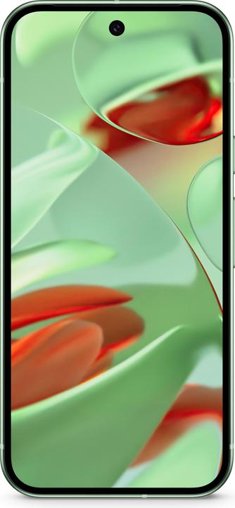 Produktbild Google Pixel 9 (128 GB, Wintergreen, 6.30", Dual SIM, 50 Mpx, 5G)