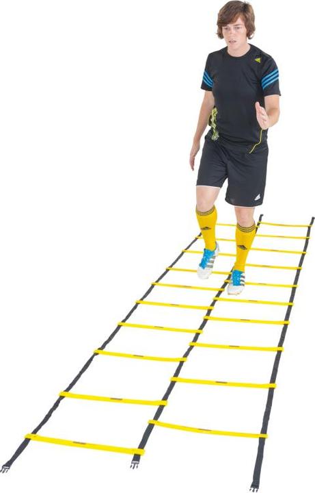 Immagine prodotto Kübler Sport Scala di coordinamento doppia