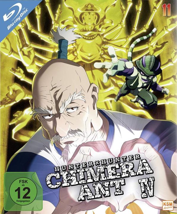 HUNTERxHUNTER - Volume 11 (Episode 113-124) (2 Blu-rays) (Blu-ray, Deutsch)