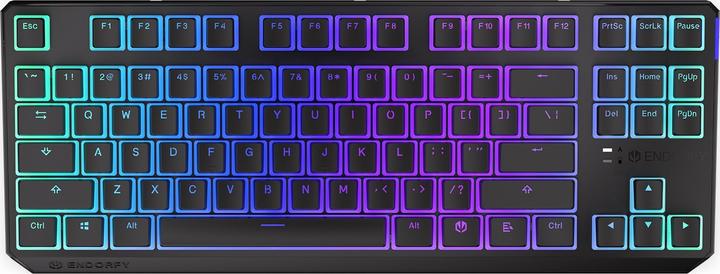 Endorfy Thock TKL Wireless Mechanical Keyboard with RGB Pudding Edition (USA, Kailh Red Switch) (US, Cable)