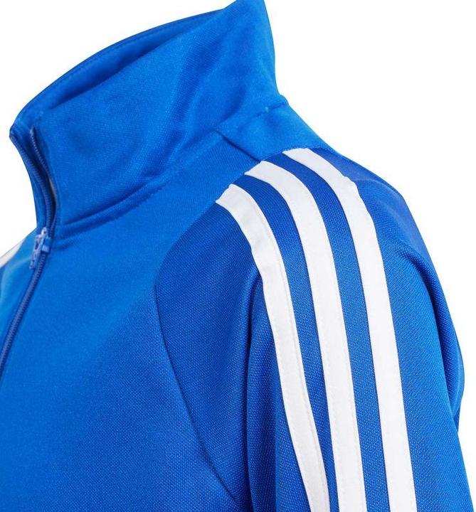 Actual product image adidas TIRO24 TRTOP Y (152)