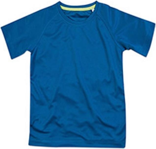 Bleu roi