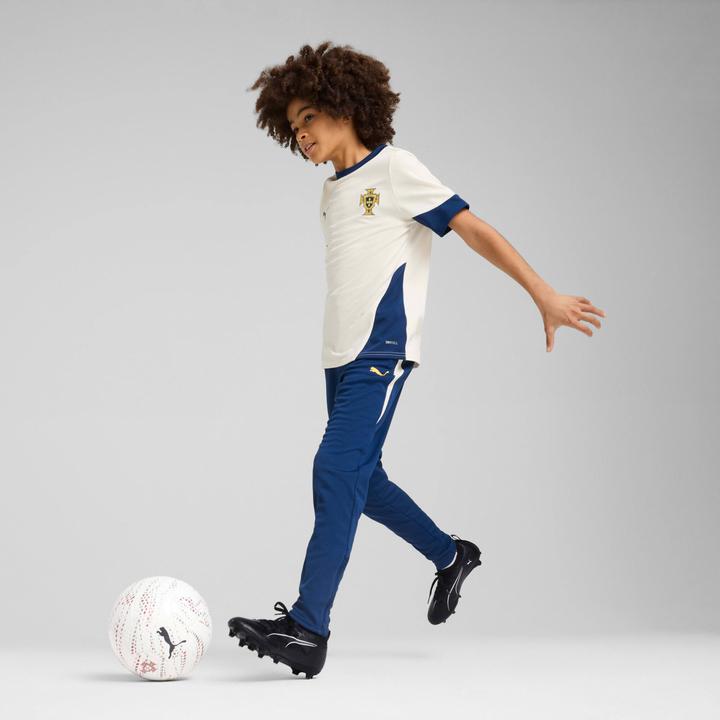 Image du produit Puma FPF Training Jersey Jr (140)