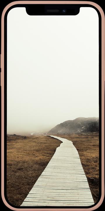 Actual product image dbramante1928 Greenland (Apple iPhone 13 Pro Max)