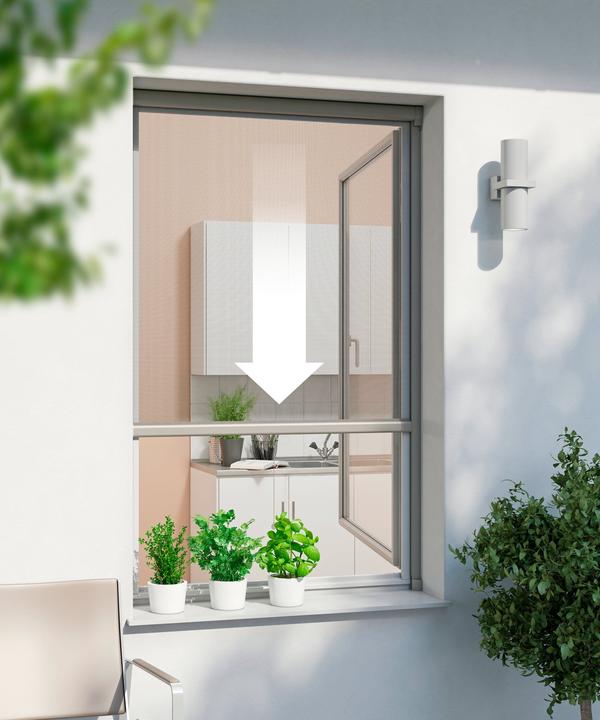 Produktbild Windhager Rollo (100 x 160 cm)