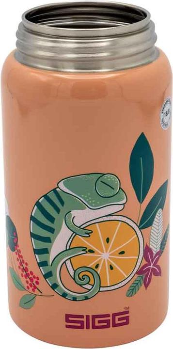 Image du produit Sigg Shield One (0.50 l)