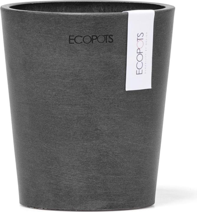 Image du produit Ecopots Morinda (11 cm)