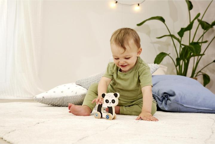 Actual product image Eichhorn EH Panda Pusher