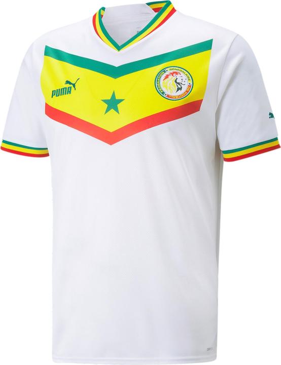 Puma FSF Home Jersey Replica (XXL)