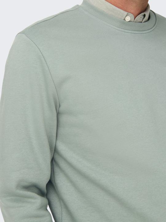 Produktbild Only & Sons Onsconnor Reg Crew Neck Sweat Noos (L)