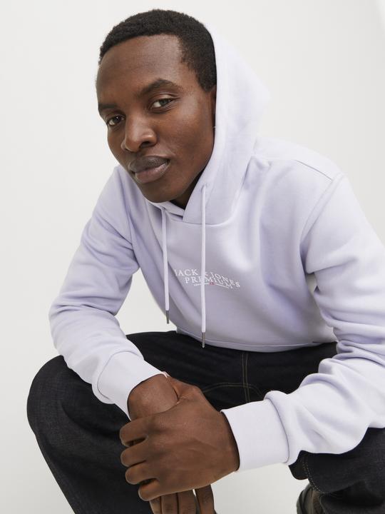 Actual product image Jack & Jones Logo hooded jumper Hooded jumper (XL)
