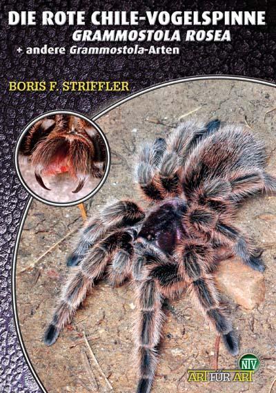 Actual product image The red chile bird spider and other Grammostola species (German, Boris F. Striffler, 2019)