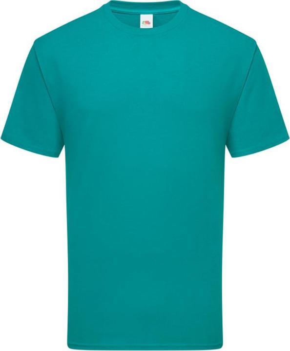 Actual product image Fruit of the Loom Mens Iconic 195 Ringspun Premium Tshirt (L)