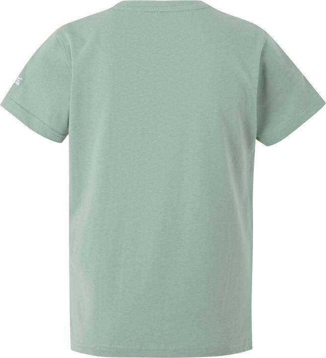 Actual product image Regatta Childrens/Kids Bosley VIII Graphic Print T-Shirt (146, 152)