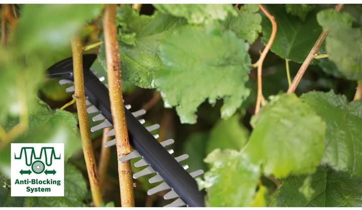 Image du produit Bosch Home & Garden AdvancedHedgeCut 36V-65-28 (Taille-haies sans fil)