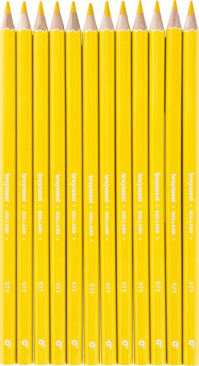 Actual product image Bruynzeel Colored pencil Colorexpress (Lemon)
