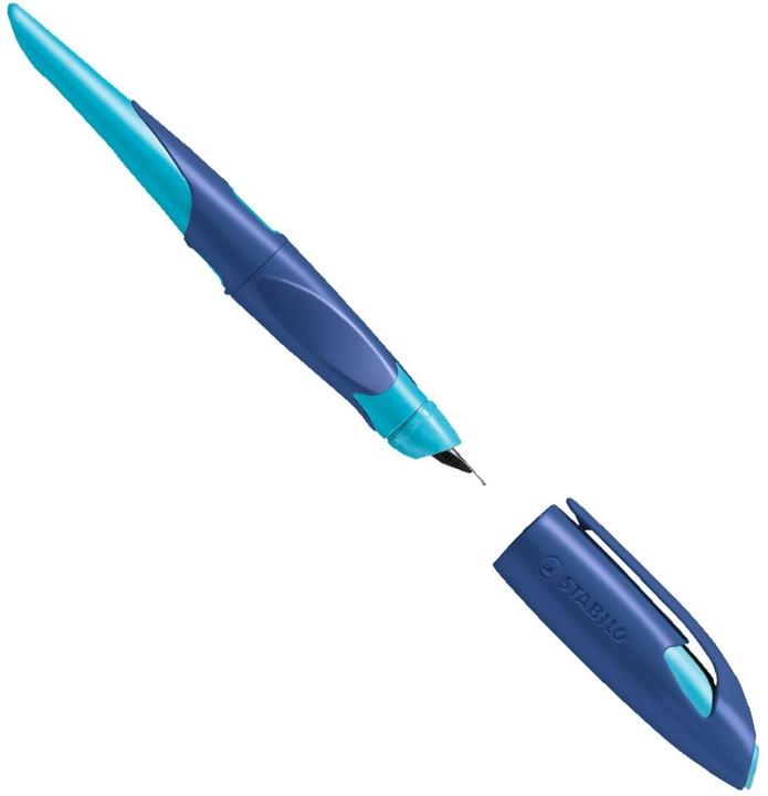 Actual product image STABILO EasyBirdy fountain pen (Blue, 1 x)
