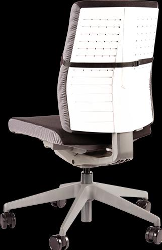Image du produit Fellowes Support dorsal Professonal Series