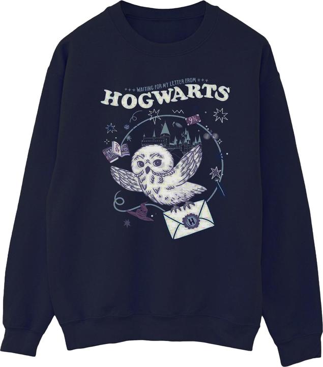 Owl Letter From Hogwarts Sweatshirt (L)