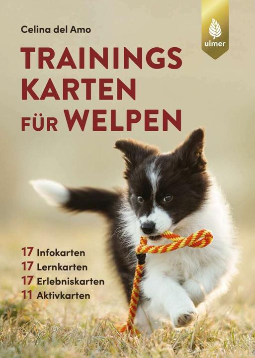 Produktbild Trainingskarten für Welpen (Deutsch, Celina del Amo, 2021)