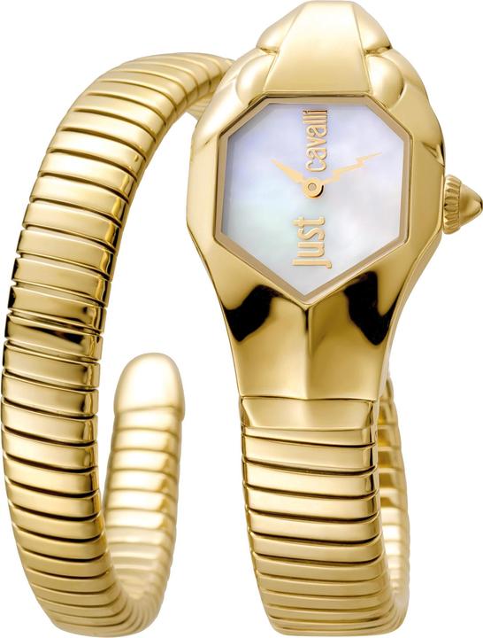 Just Cavalli Signature Snake - JC1L001M0025 (Analogue wristwatch, 22 mm)